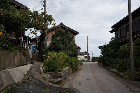 DSC03783