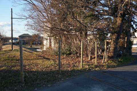 DSC06665