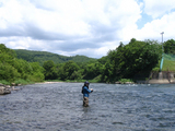 Fishing