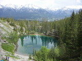 Grassi