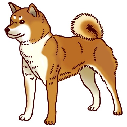 shiba103