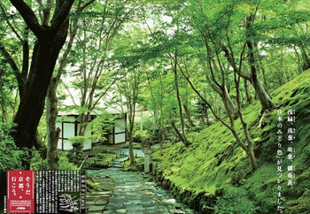 2011_early_summer_01
