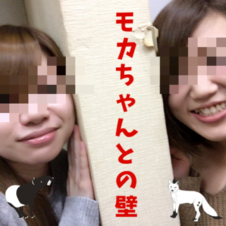 23e74559.png