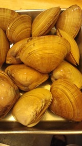 93e490b9.jpg