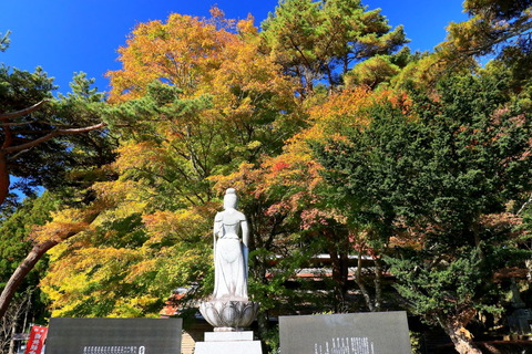 八溝山地_2018.11.03_075