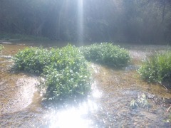 o0640048011186896319