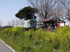 P1060043