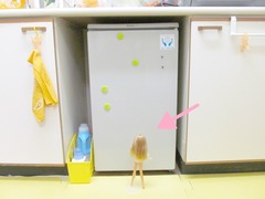 IMG_0816a