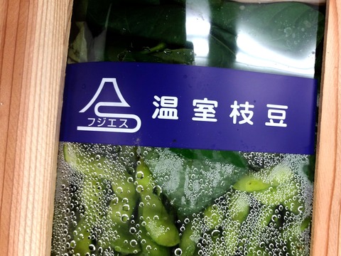 枝豆フジエス