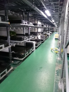 グリーンランド12