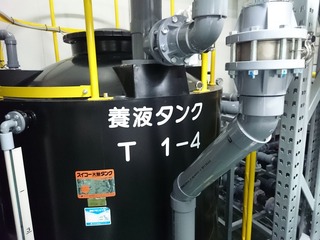 グリーンランド15