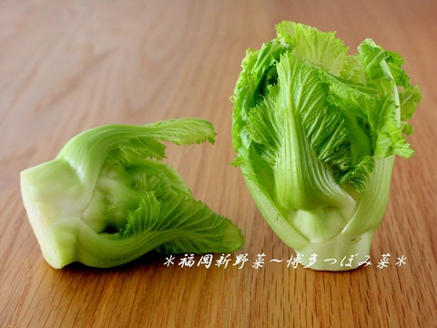 まつの2