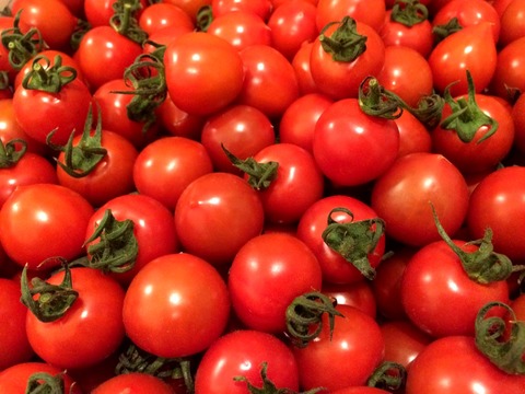 プレミアムトマト