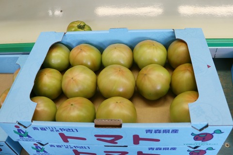 よもぎたトマト