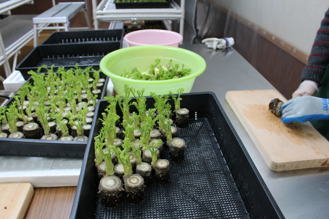 スクールファーム河辺