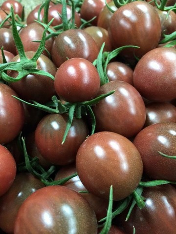 プレミアムトマト