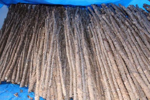 スクールファーム河辺