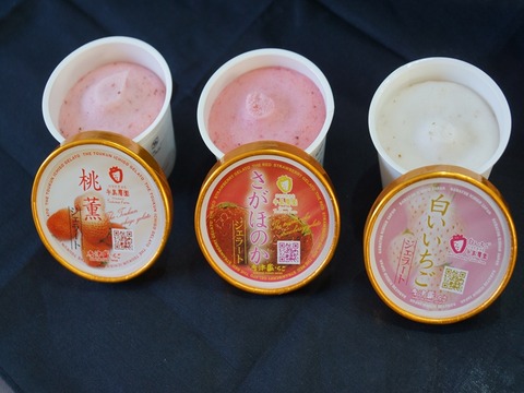 DSC07620_R