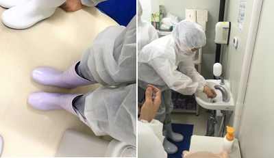 低カリウムレタス植物工場