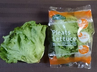 グリーンランド4