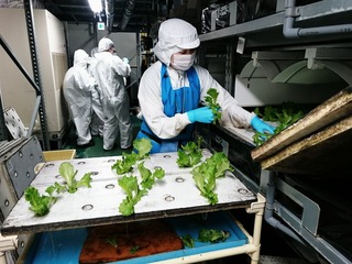 グリーンランド8