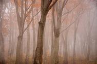 10301940¸¶À¸ÎÓ-7