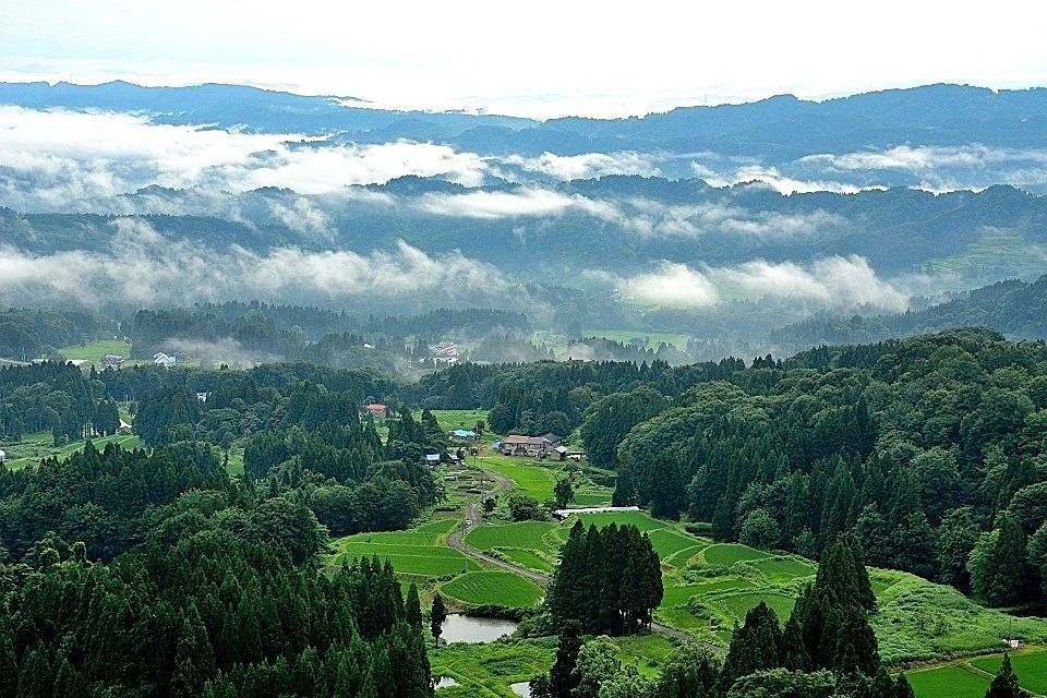 日本の原風景 NHKテレビで松之山の自然紹介（日曜日の「さわやか自然百景」）