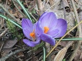 040411kurokkasu