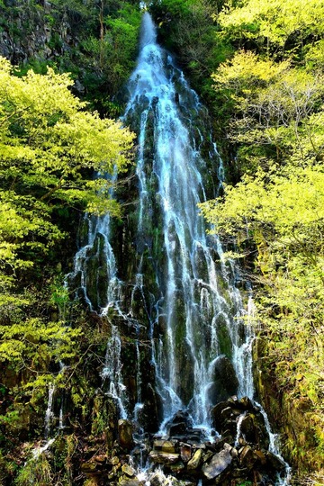幻の滝「樽滝」（長野県木島平村） : 日本の原風景