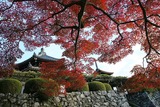 善峯寺