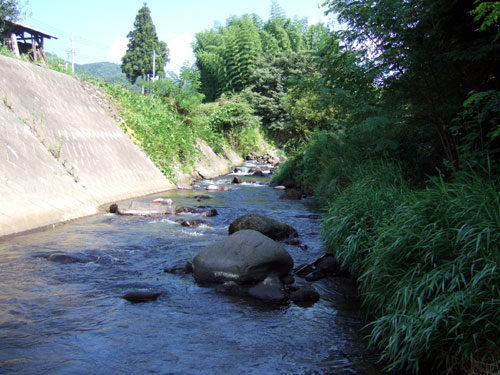 DSCF590900