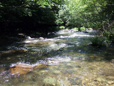 DSCF566111