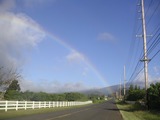 rainbowhp