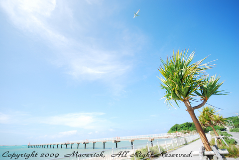 Tropical Sky 01