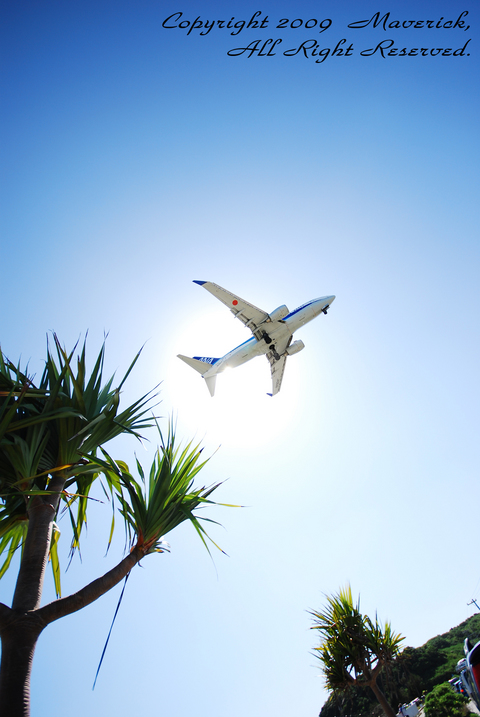 Tropical Sky 03