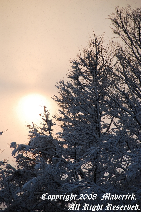 snow 02