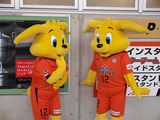 こパルちゃん1号2号