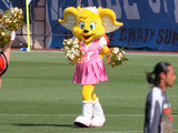 ピカルちゃん