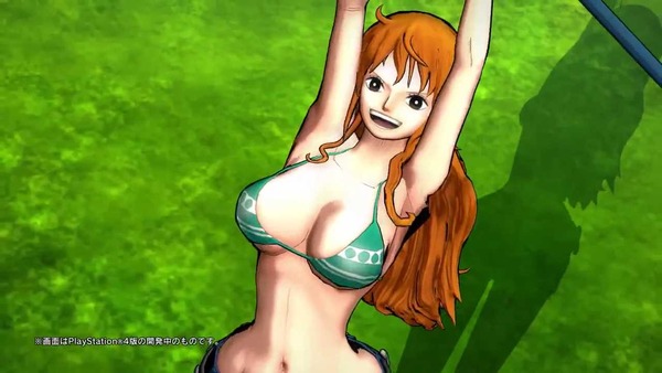 ワンピース バーニングブラッド 水着 (13)