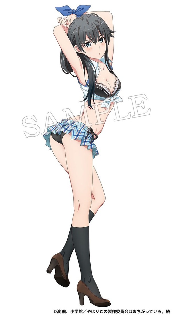やはり俺の青春ラブコメはまちがっている。 グッズ エロ衣装 (3)