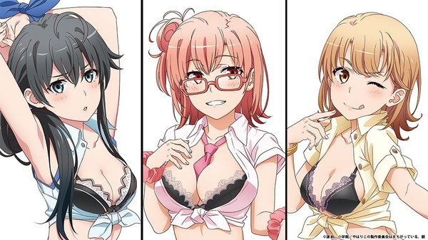 やはり俺の青春ラブコメはまちがっている。 グッズ エロ衣装 (2)