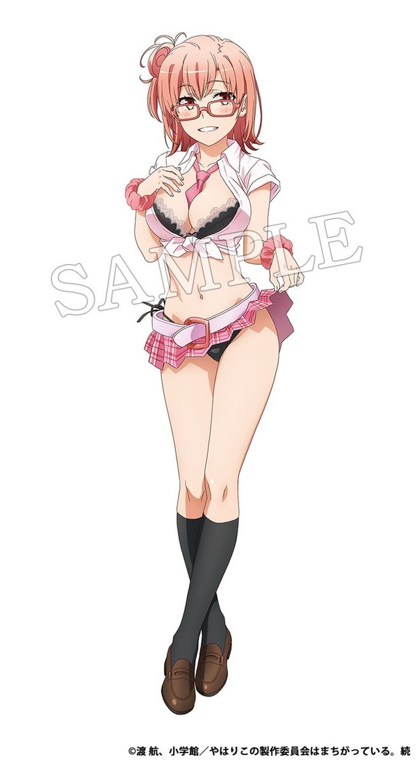やはり俺の青春ラブコメはまちがっている。 グッズ エロ衣装 (4)