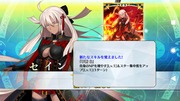 FGO ʥ륿 ǽ   (5)