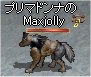 maxjolly-p
