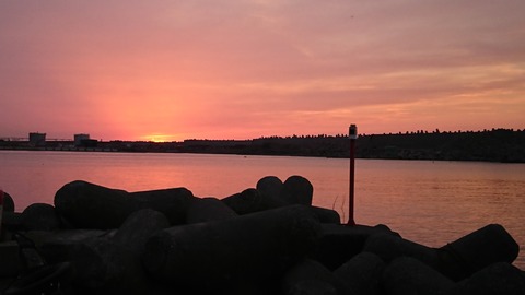 DSC_0121
