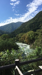 IMG_1559