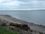 Shore