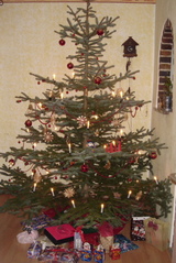 xmas tree
