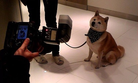 2436
