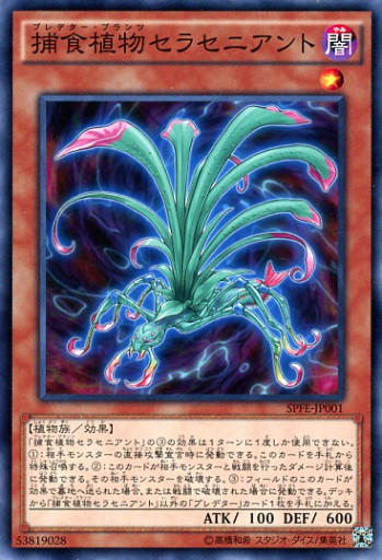 5223